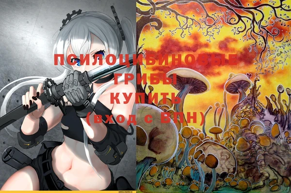 экстази Няндома