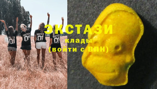 гидра Галич