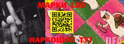 гашик Донской