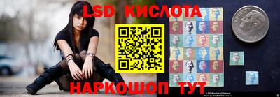 гашик Донской