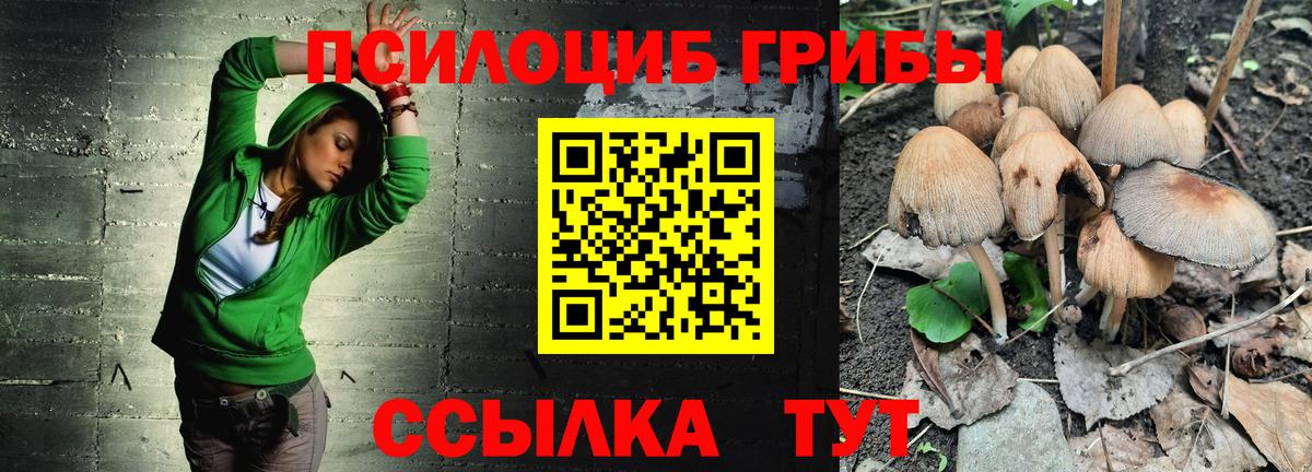 Галлюциногенные грибы мицелий  Вход с VPN  Партизанск 