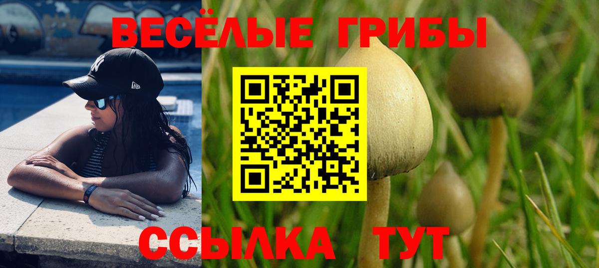 Псилоцибиновые грибы прущие грибы Партизанск